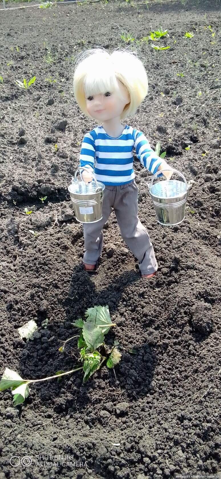 Воспоминание о прошедшем лете ...или как мы клубнику пересаживали (фото 9)