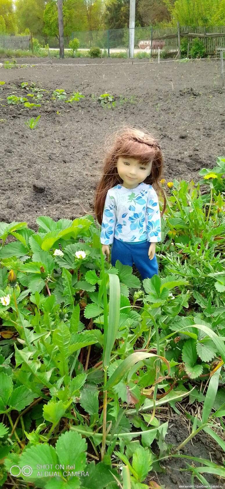 Воспоминание о прошедшем лете ...или как мы клубнику пересаживали (фото 4)