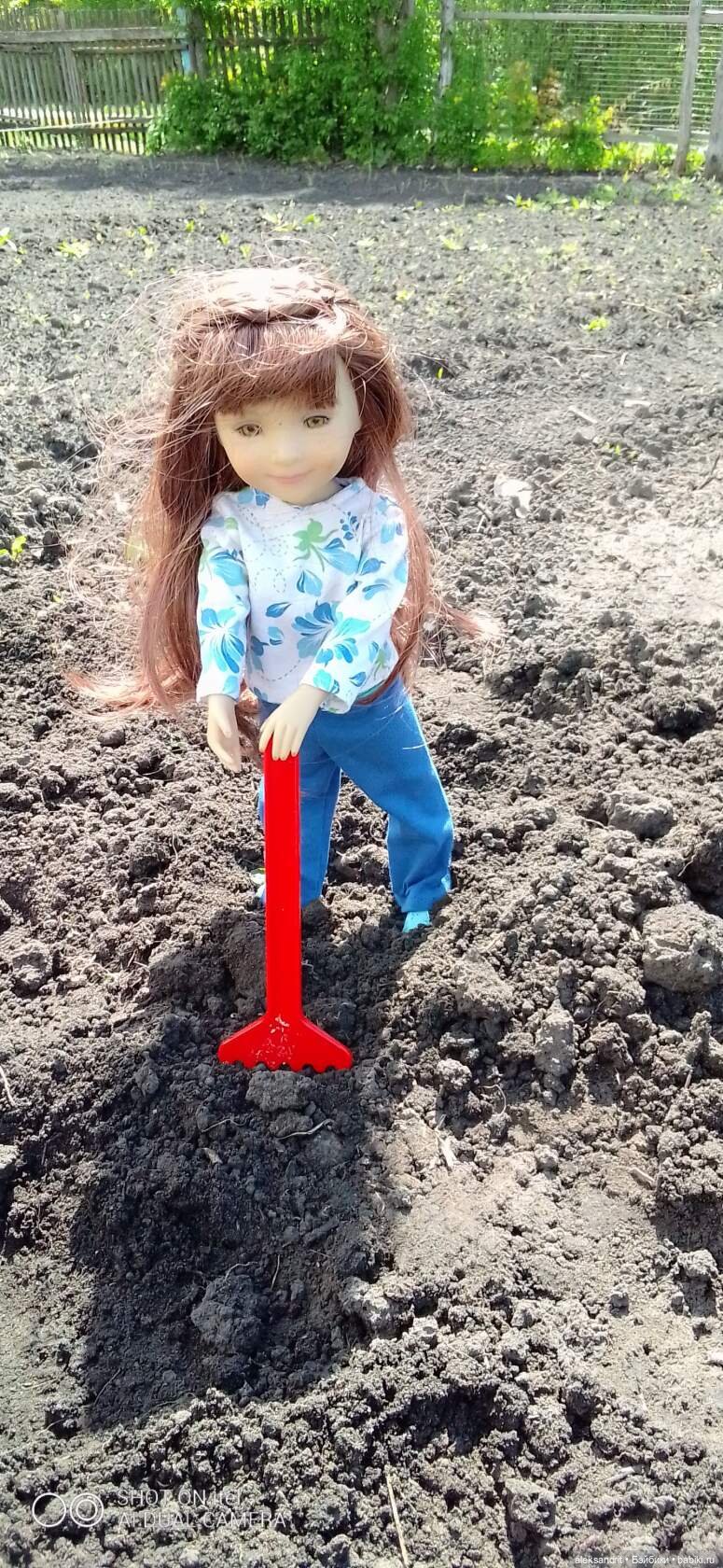 Воспоминание о прошедшем лете ...или как мы клубнику пересаживали (фото 6)