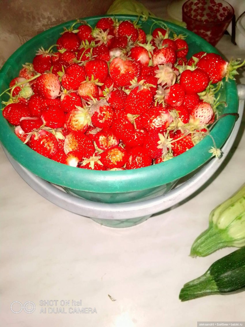 Воспоминание о прошедшем лете ...или как мы клубнику пересаживали