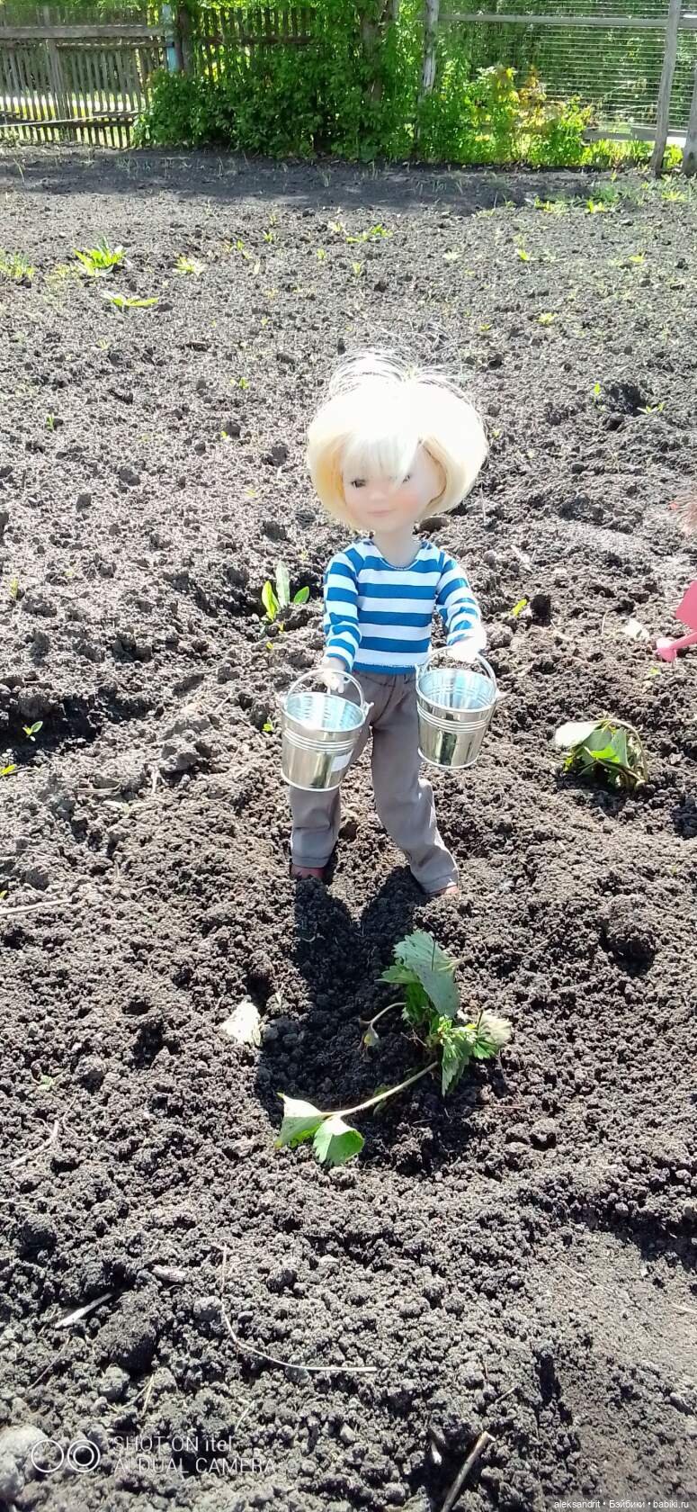 Воспоминание о прошедшем лете ...или как мы клубнику пересаживали (фото 10)