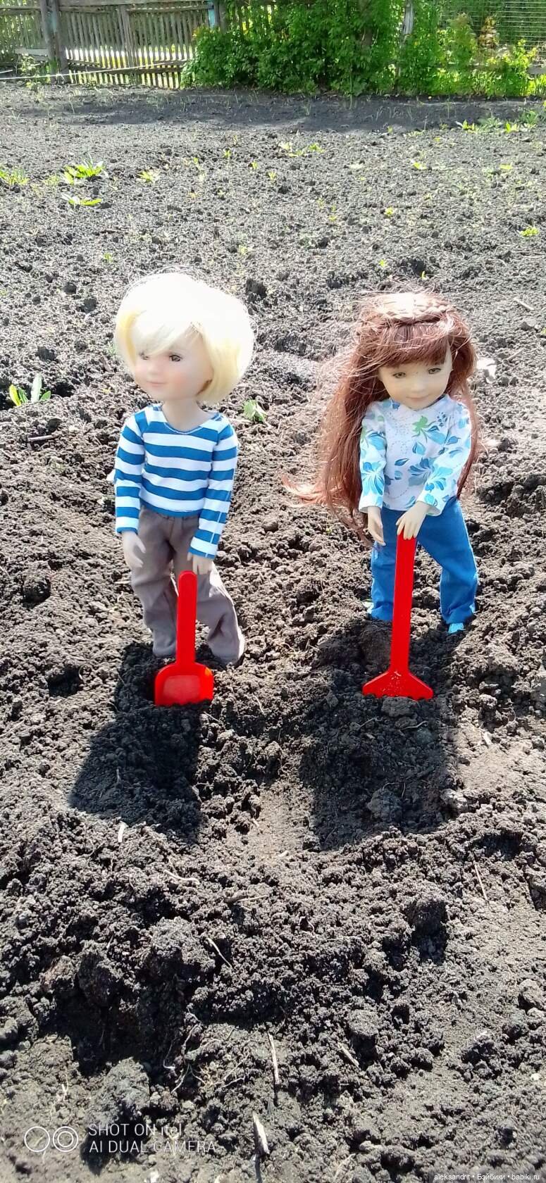 Воспоминание о прошедшем лете ...или как мы клубнику пересаживали (фото 5)