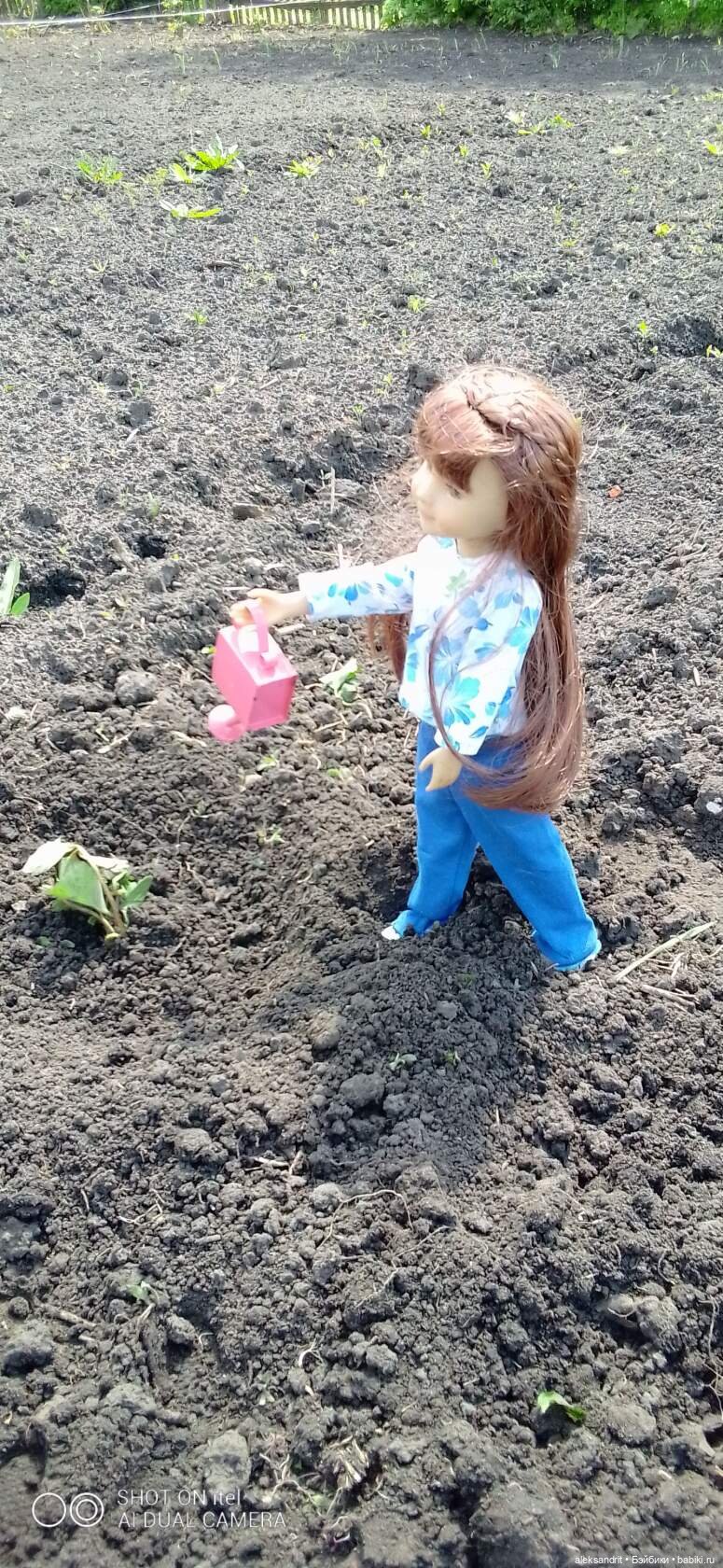 Воспоминание о прошедшем лете ...или как мы клубнику пересаживали