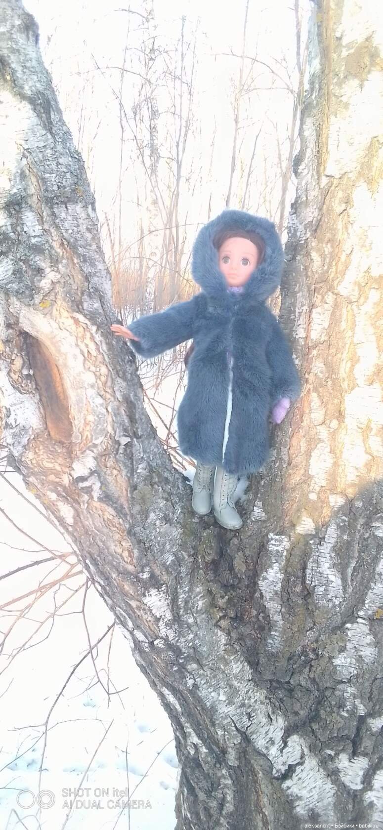 В зимнем парке все деревья грустны ,так и просят подождать до весны