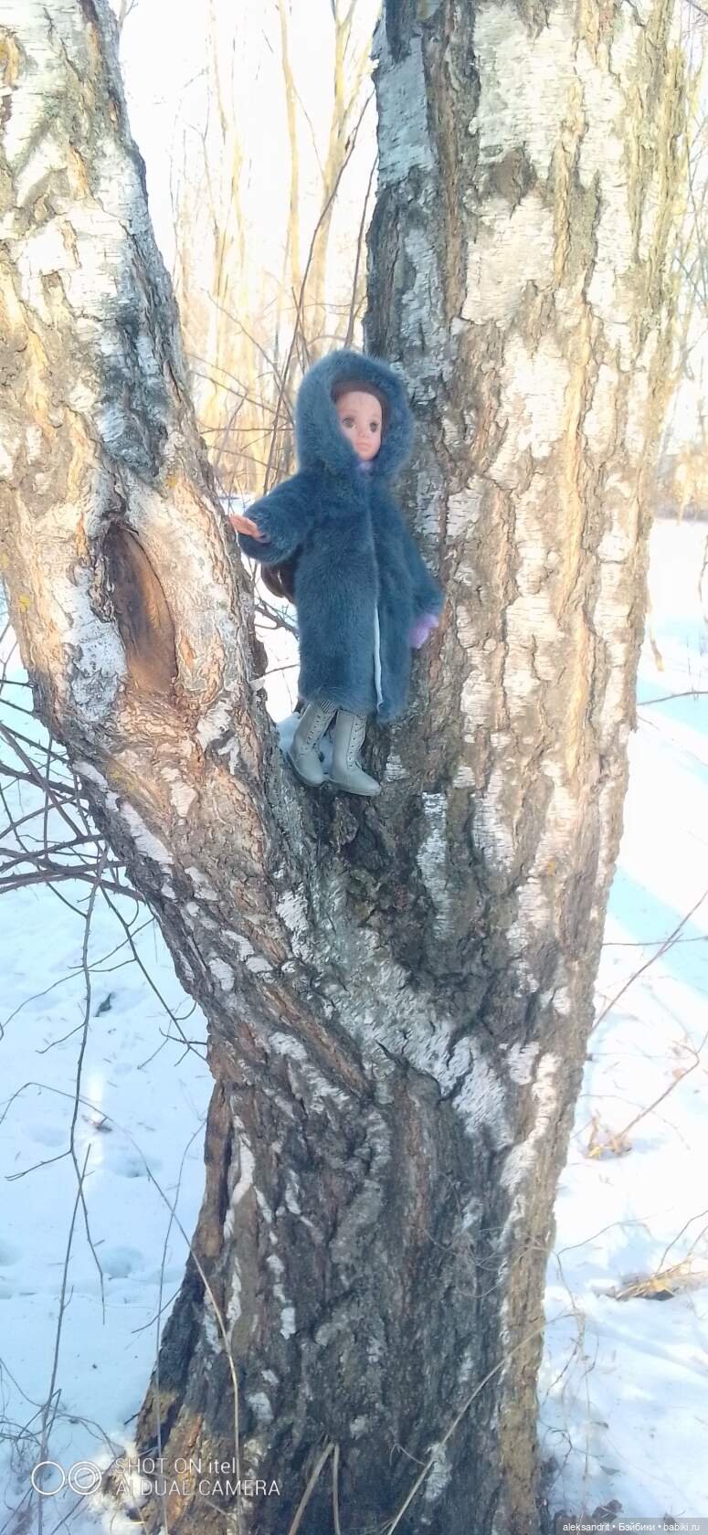 В зимнем парке все деревья грустны ,так и просят подождать до весны