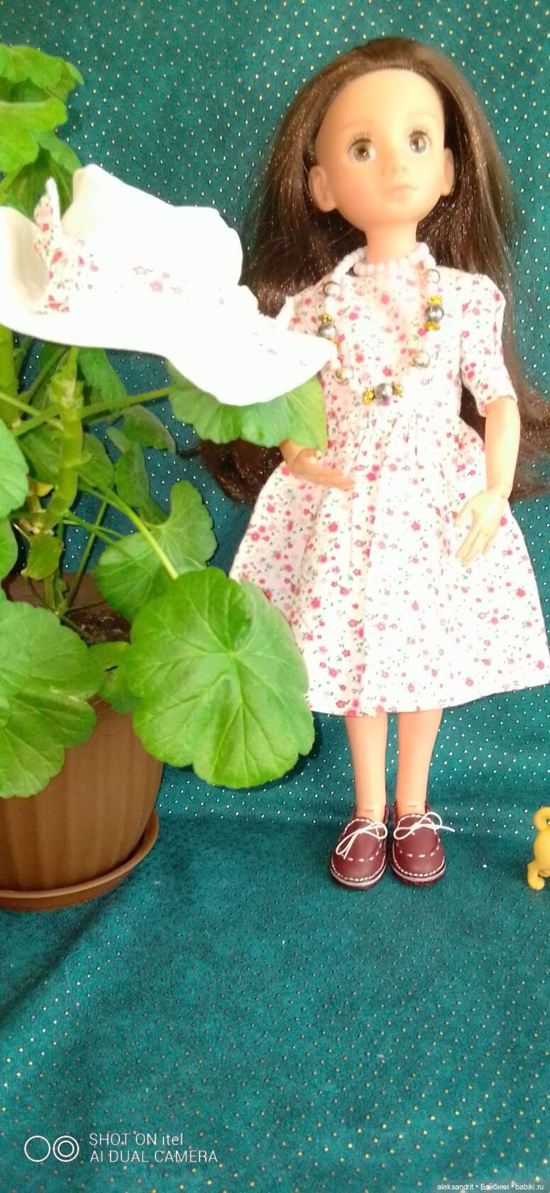 Моя МироСЛАВА, девушка с приданным и своей историей