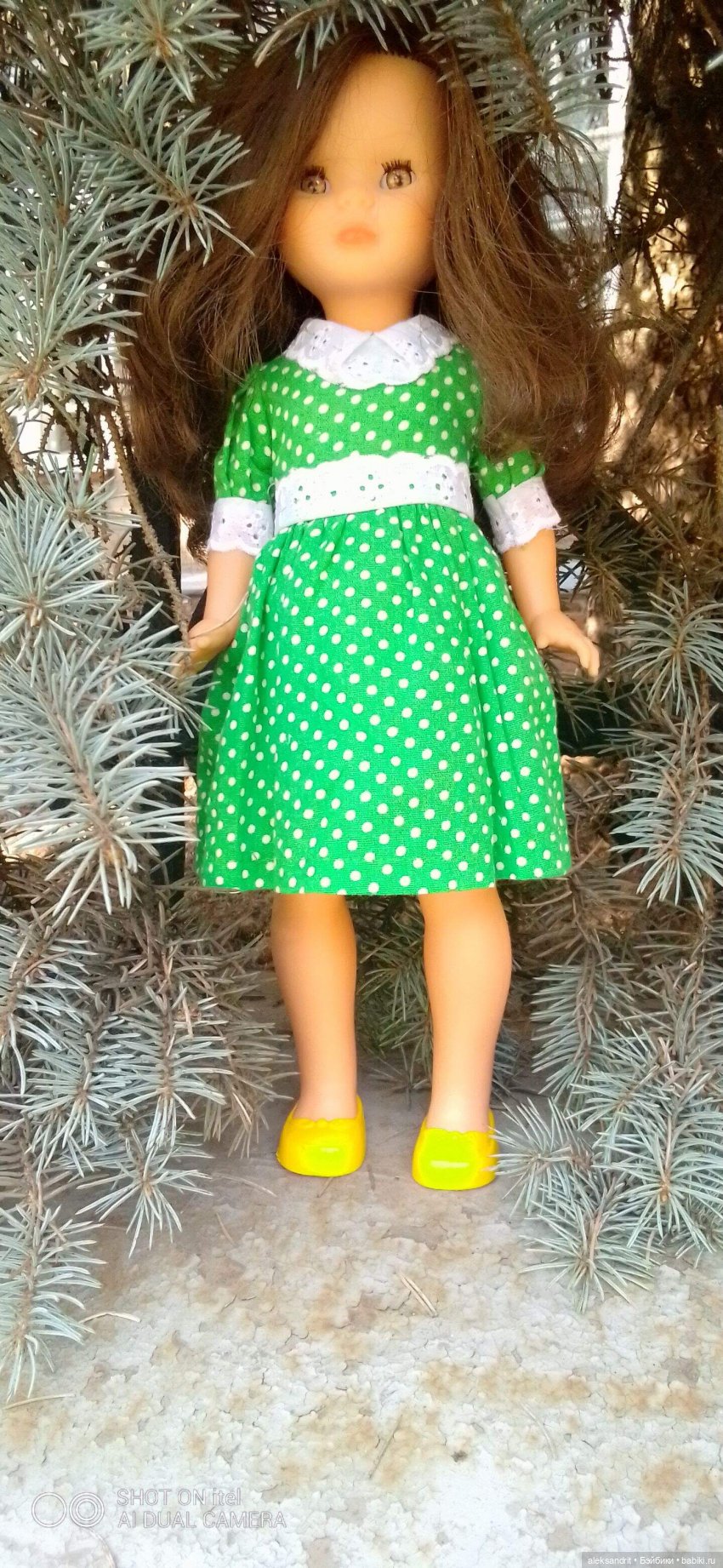 Ненси ,еще одна Ненси, или исполнение мечты