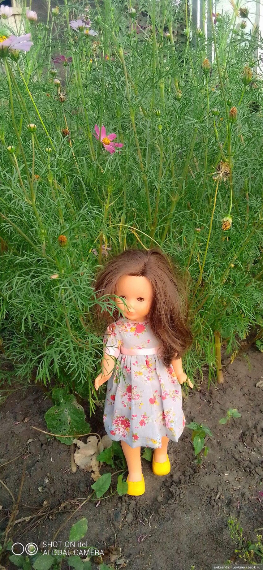 Ненси ,еще одна Ненси, или исполнение мечты (фото 4)