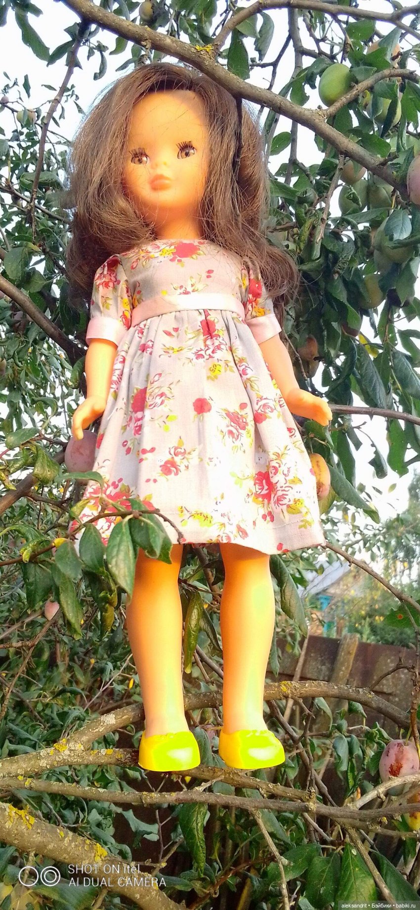 Ненси ,еще одна Ненси, или исполнение мечты (фото 3)