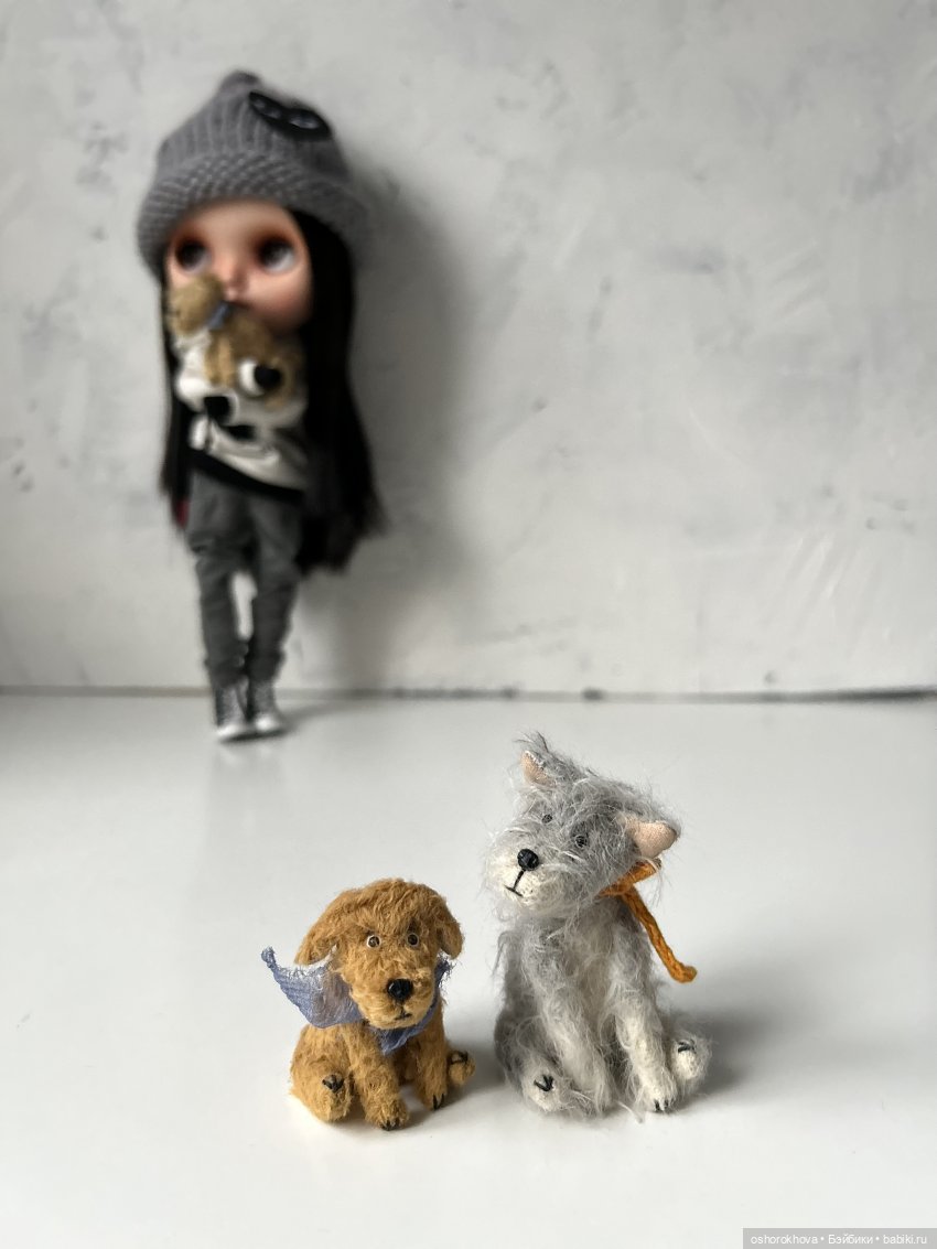 Собачьи истории — Куклы Blythe (Блайз) ООАК: кастом