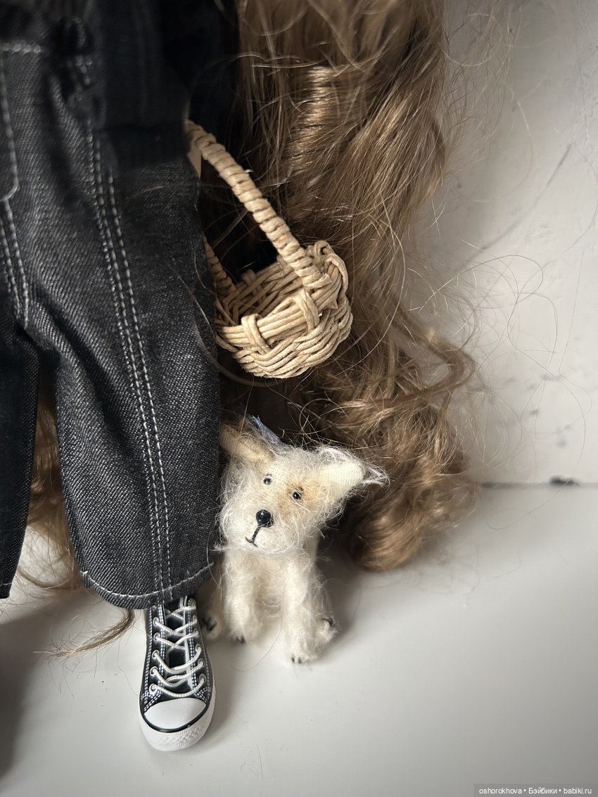 Собачьи истории — Куклы Blythe (Блайз) ООАК: кастом