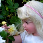 Лето прописалось в Киеве, или прогулка с Serene от Fayzah Spanos