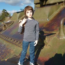 Истринский район поселок Снегири