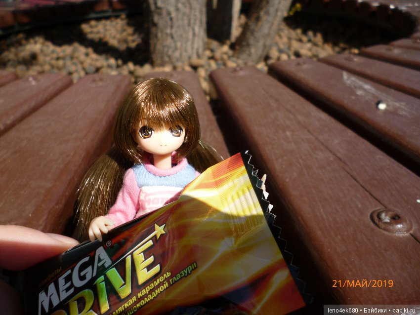 История восемнадцатая, вперед на встречу приключениям (фото 7)