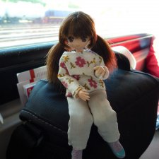 История восемнадцатая, вперед на встречу приключениям