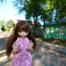 История двадцать третья