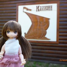 История двадцать четвертая