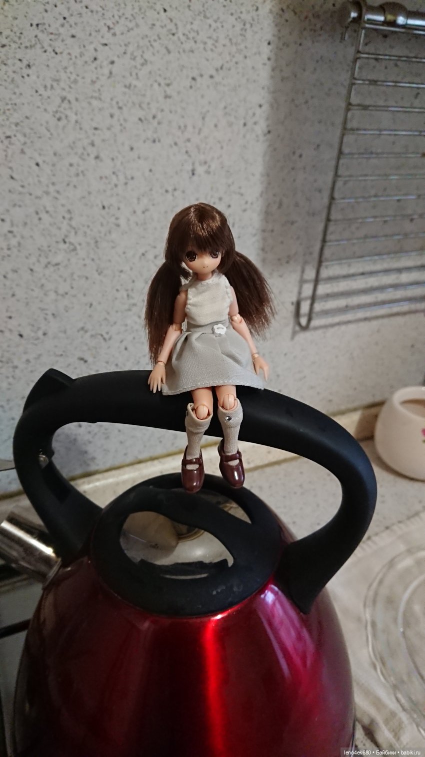 История двадцать пятая, дома (фото 3)