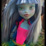 Мой второй ООАК для Френки Monster High