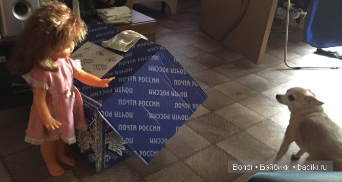 Олеся и ее будущие соседи