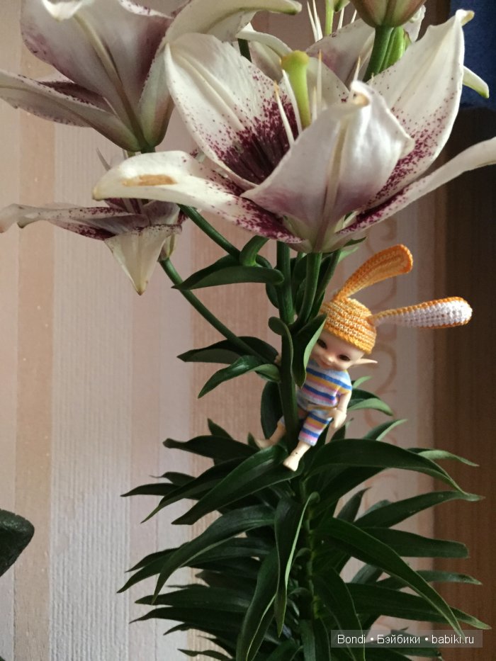 "Мой цветочек" серия 2 ( ой, кто это?!) (фото 4)