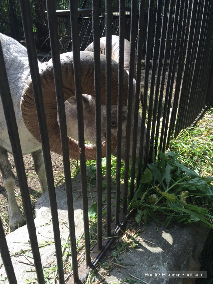 Короткий отпуск... но интересный! Новосибирск