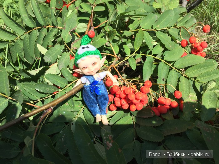 Короткий отпуск... но интересный! Новосибирск (фото 9)