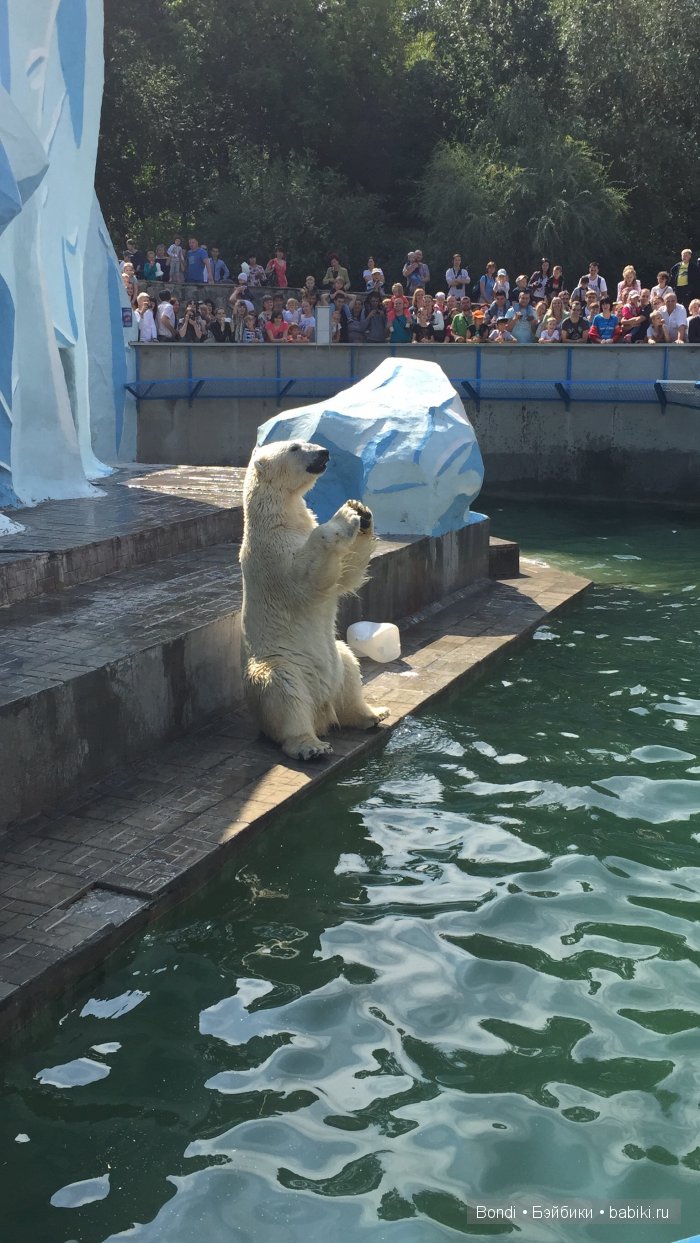 Короткий отпуск... но интересный! Новосибирск