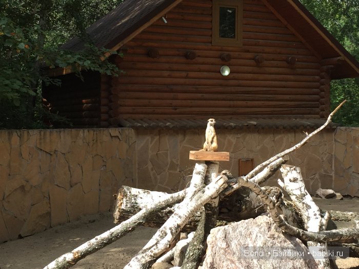 Короткий отпуск... но интересный! Новосибирск