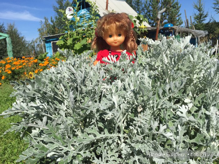 "Ура, нас пригласили на дачу. И понеслось ..." Куклы СССР (фото 7)