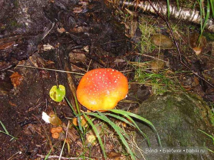 "Ура, нас пригласили на дачу. И понеслось ..." Куклы СССР (фото 8)