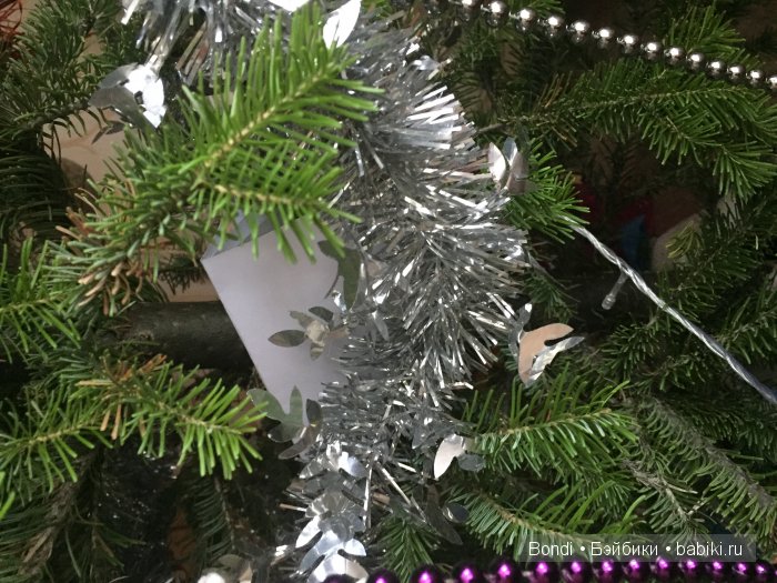 Маленькая звездочка - нашла семью (фото 6)