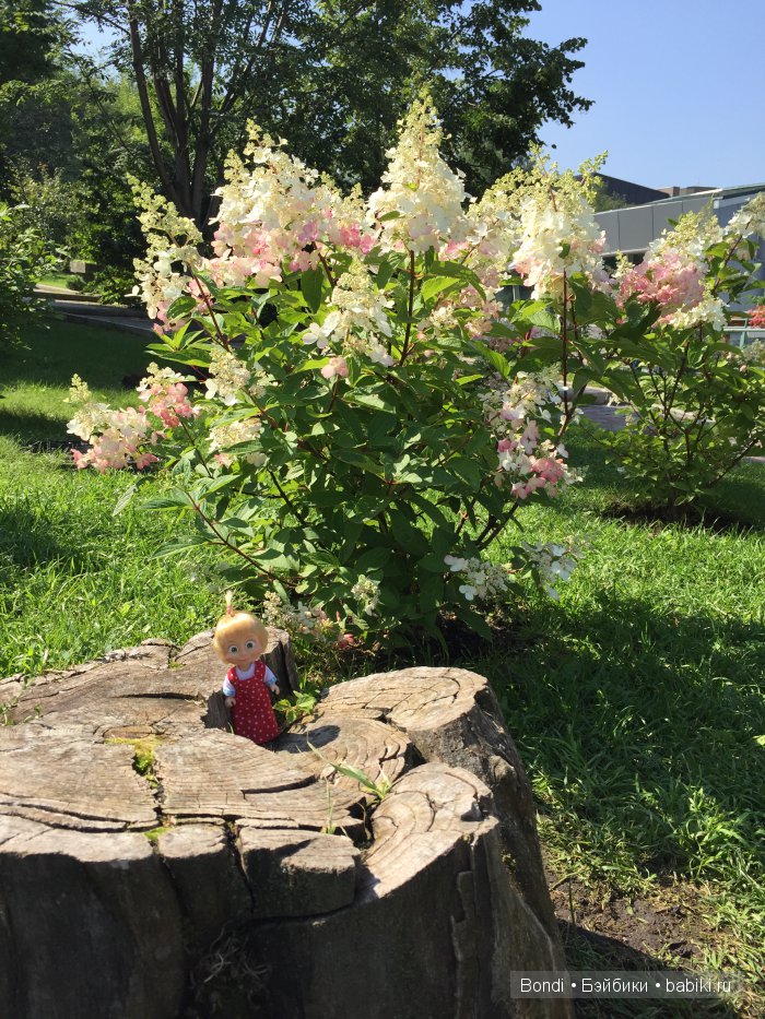 Одна Маша хорошо .... или как мы съездили в Красноярск. 1 часть Зоопарк