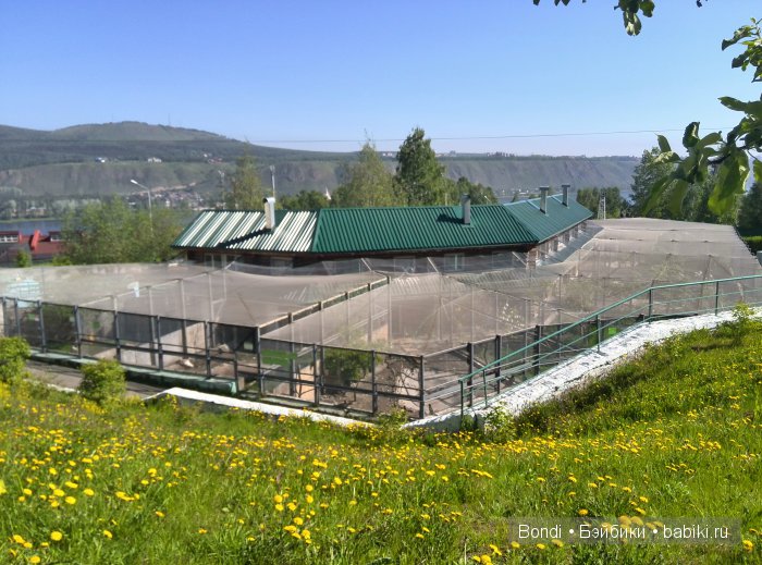 Одна Маша хорошо .... или как мы съездили в Красноярск. 1 часть Зоопарк