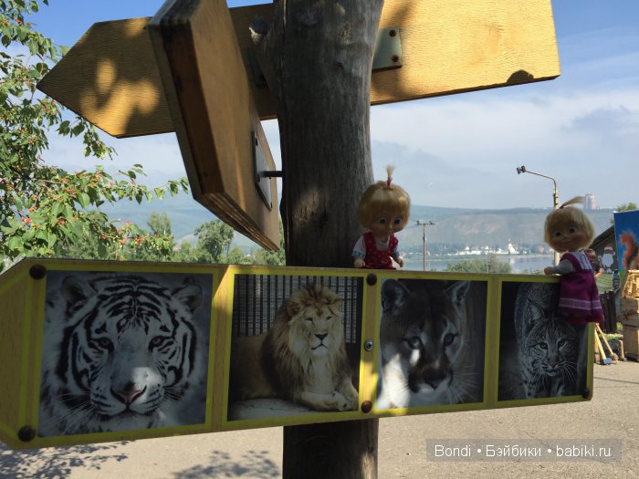 Одна Маша хорошо .... или как мы съездили в Красноярск. 1 часть Зоопарк