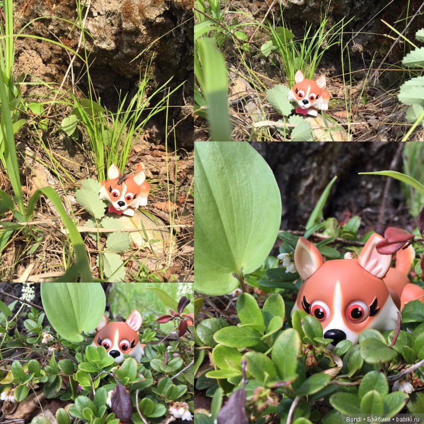 Рыжий, маленький позитив — Интересные игрушки и фигурки (разное): редкие (фото 4)