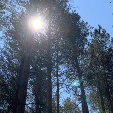 Просто выдался хороший, солнечный денёк