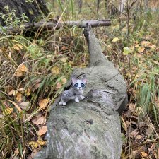 Гуляем с Омлетиком в осеннем лесу