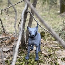 Первая 5-ти минутная прогулка с Анубисом