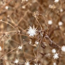 Выходные на даче с фигурками.