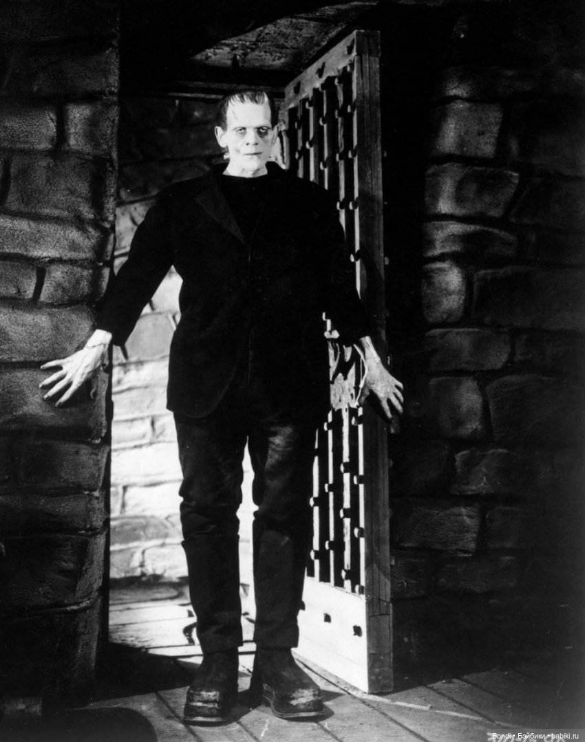 Мой Франкенштейн | Бэйбики Мой Франкенштейн — Коллекционные экшн