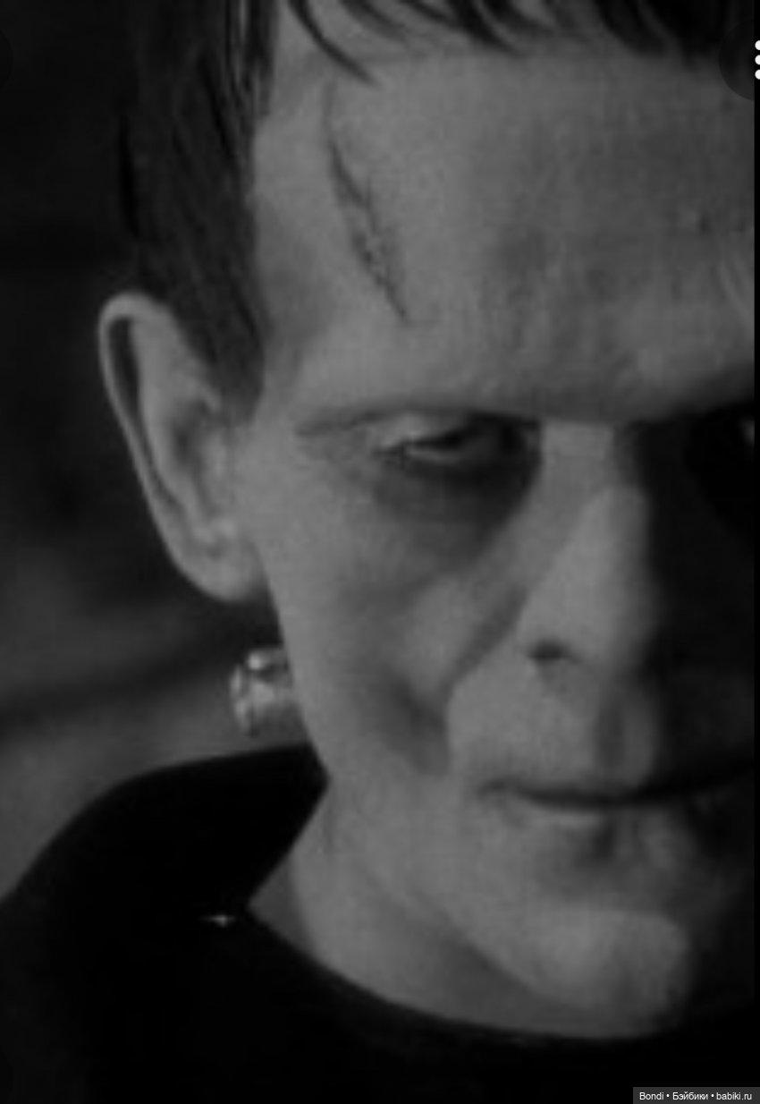 Мой Франкенштейн — Коллекционные экшн (фото 3)