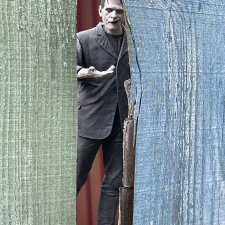 Мой Франкенштейн.