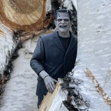 Сентябрьский лес и мой компаньон.