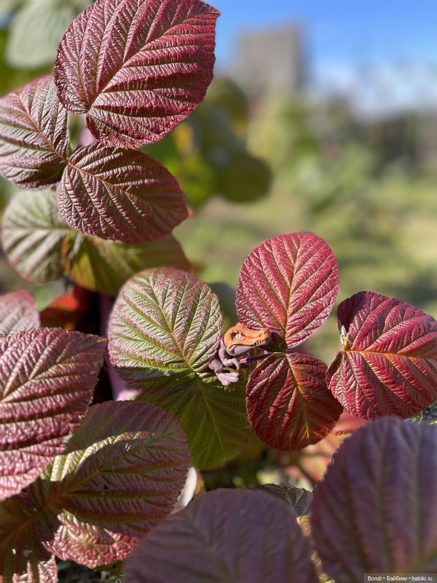 Нашествие динозавров — Интересные игрушки и фигурки (разное): редкие