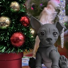 Новогодние фото с моими любимыми домашними питомцами.