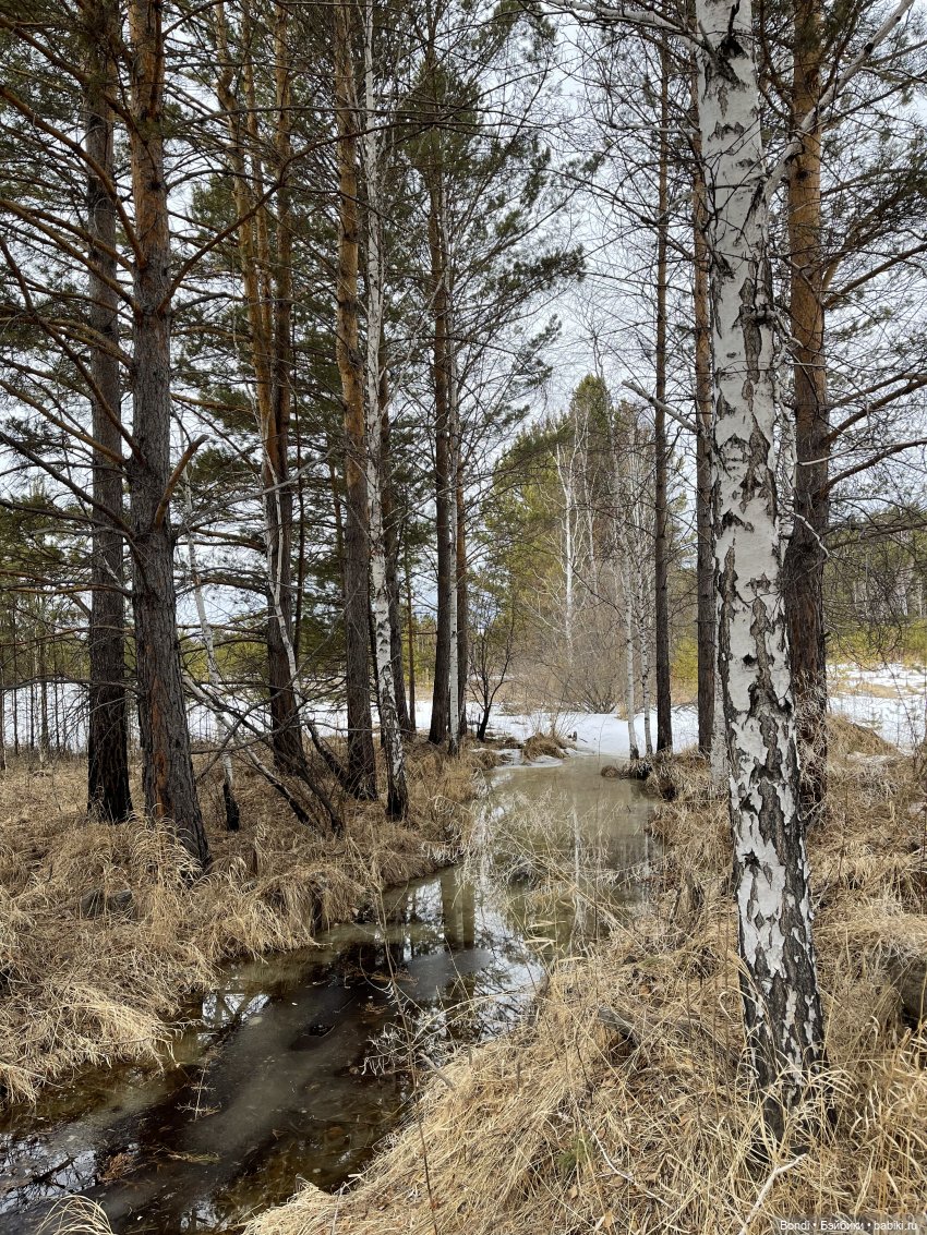 Еще немного Эдварда и Френки (фото 2)