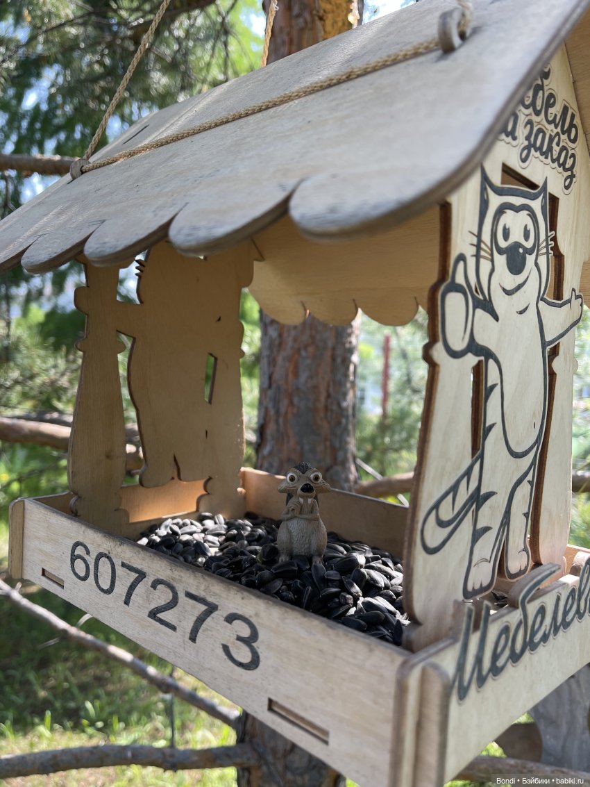 Просто покормили белок и новый житель (фото 8)