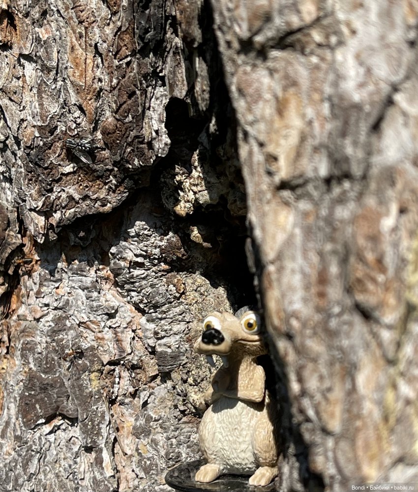 Просто покормили белок и новый житель (фото 4)