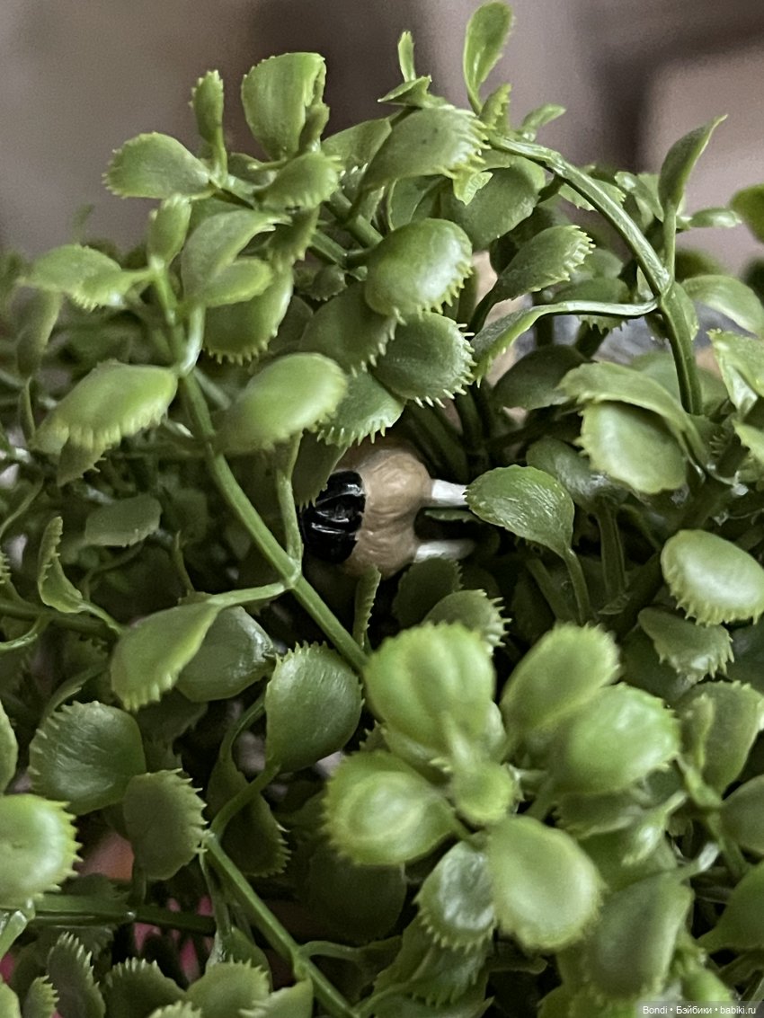 Просто покормили белок и новый житель (фото 10)